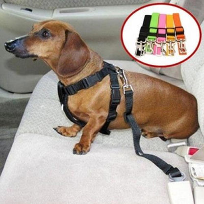 Neue Mode Katze, Hund,  Haustier Sicherheitsgurt für  Auto, Fahrzeug. Gurtband, Sicherheitsgurt. Verstellbare Geschirrleine, Haustier Zubehör