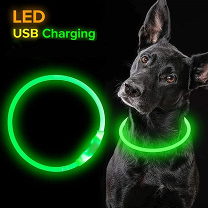 LED-Licht Hundehalsband, abnehmbares leuchtendes Halsband mit USB-Ladung, leuchtende Leine für große Katzen, Halsband für kleine Hunde, helles Labrador, Haustierbedarf