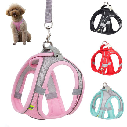 Bequemes Dog Harness Leash Set für kleine Hunde: Verstellbares Geschirr, perfekt für French Bulldog, Chihuahua, Pug und mehr - Ideale Leine für Spaziergänge im Freien
