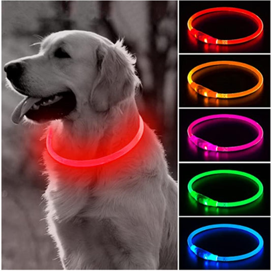 LED-Licht Hundehalsband, abnehmbares leuchtendes Halsband mit USB-Ladung, leuchtende Leine für große Katzen, Halsband für kleine Hunde, helles Labrador, Haustierbedarf
